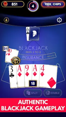 Blackjack Offline android App screenshot 2